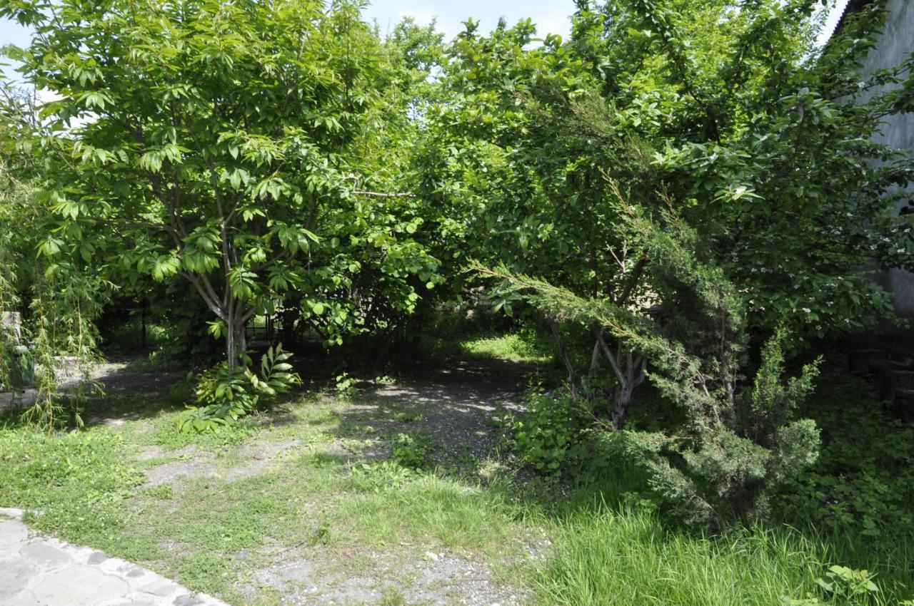 Fairy Tale Βίλα Gabala Εξωτερικό φωτογραφία